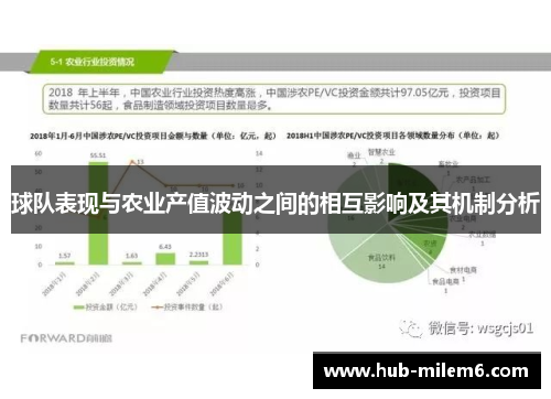 球队表现与农业产值波动之间的相互影响及其机制分析