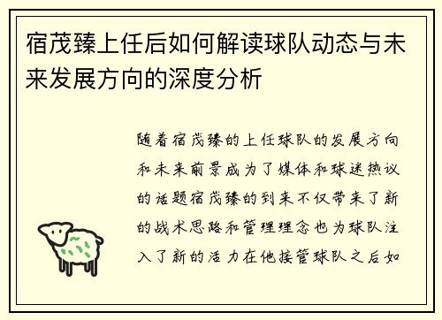 宿茂臻上任后如何解读球队动态与未来发展方向的深度分析
